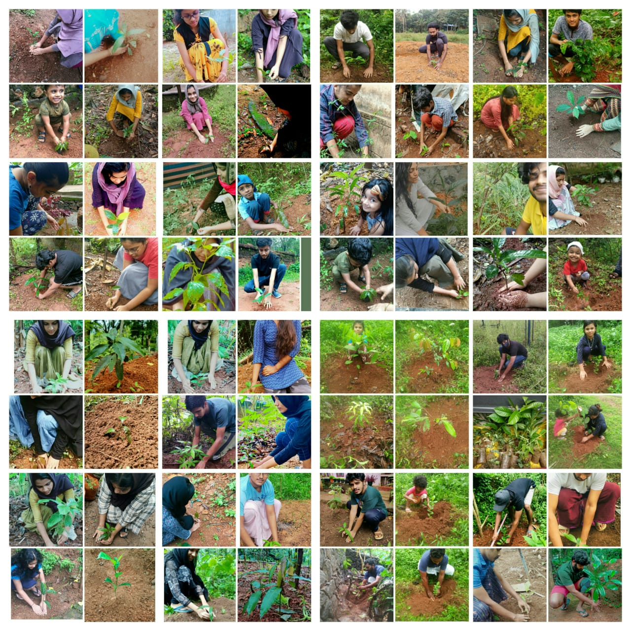 Environment Day Celebration